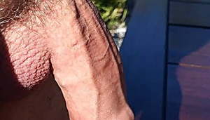 Beautiful cocks