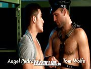 Angel Pedroza & Tom Wolfe