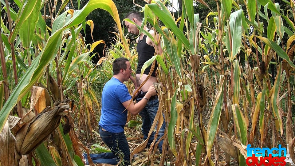 This time I think the corn is ripe - Jimmy Fix, Mac Peal