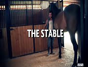 The Stable - DMH - Damien Crosse - David Dirdam